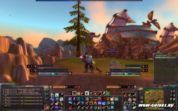 Сборка аддонов Cary's UI для wow 3.3.5