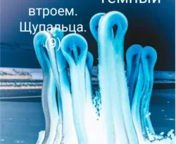 Читать книгу бесплатно Остров любви: любовь втроем. Щупальца (9) прямо сейчас на нашем сайте wow-guides.ru в различных форматах FB2, TXT, PDF, EPUB без регистрации.. Смотреть фото Читать книгу бесплатно Остров любви: любовь втроем. Щупальца (9) прямо сейчас на нашем сайте wow-guides.ru в различных форматах FB2, TXT, PDF, EPUB без регистрации.. Смотреть картинку Читать книгу бесплатно Остров любви: любовь втроем. Щупальца (9) прямо сейчас на нашем сайте wow-guides.ru в различных форматах FB2, TXT, PDF, EPUB без регистрации.. Картинка про Читать книгу бесплатно Остров любви: любовь втроем. Щупальца (9) прямо сейчас на нашем сайте wow-guides.ru в различных форматах FB2, TXT, PDF, EPUB без регистрации.. Фото Читать книгу бесплатно Остров любви: любовь втроем. Щупальца (9) прямо сейчас на нашем сайте wow-guides.ru в различных форматах FB2, TXT, PDF, EPUB без регистрации.